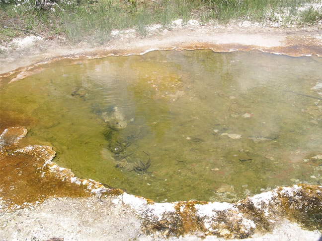 images/F- West Thumb Geyser Basin (17).jpg